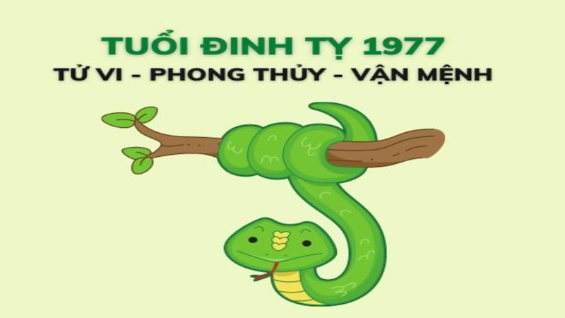 1977 bao nhiêu tuổi? Cẩm nang phong thủy cho người tuổi Đinh Tỵ