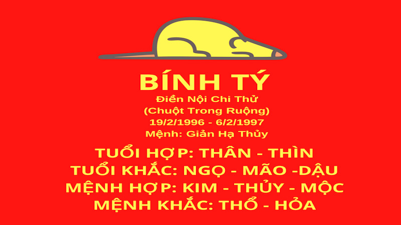 1996 hợp tuổi nào