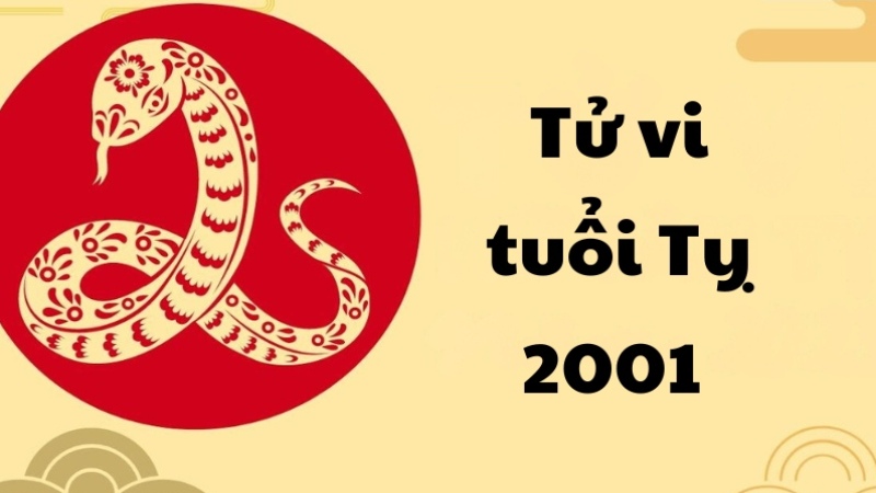 Sinh năm 2001 là bao nhiêu tuổi? Tìm hiểu chi tiết về tuổi này