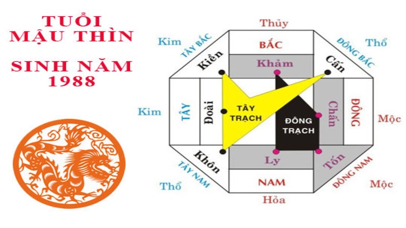 Hướng hợp kỵ tuổi Mậu Thìn 