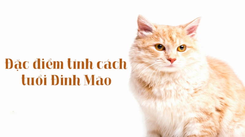 Đặc điểm tính cách những người sinh 1987 Đinh Mão