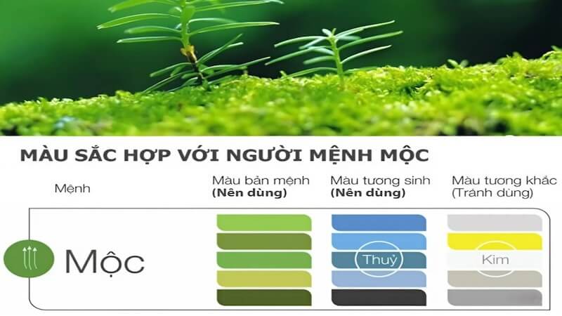 mệnh Mộc hợp màu gì