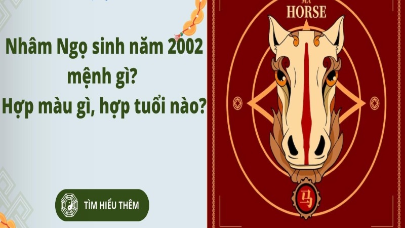 Nhâm ngọ 2002 hợp tuổi nào