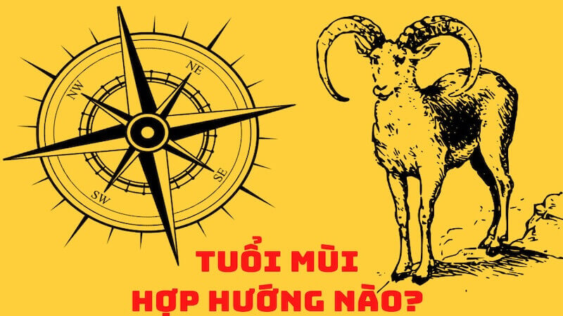 Quý Mùi hợp hướng nào