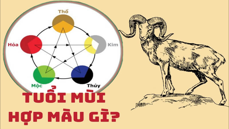 Quý Mùi hợp màu gì