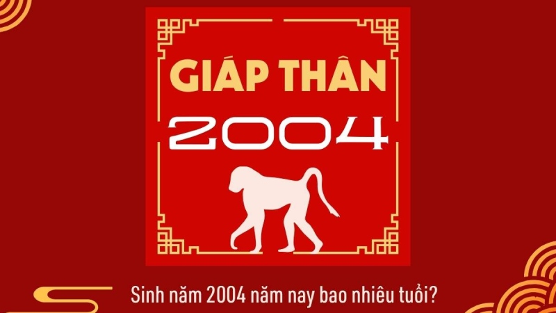 Sự nghiệp của người sinh 2004