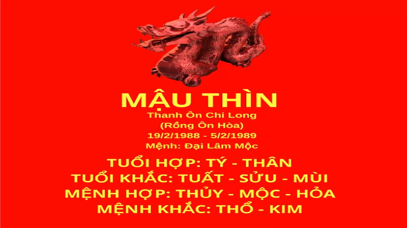 tổng quan người Mậu Thìn 