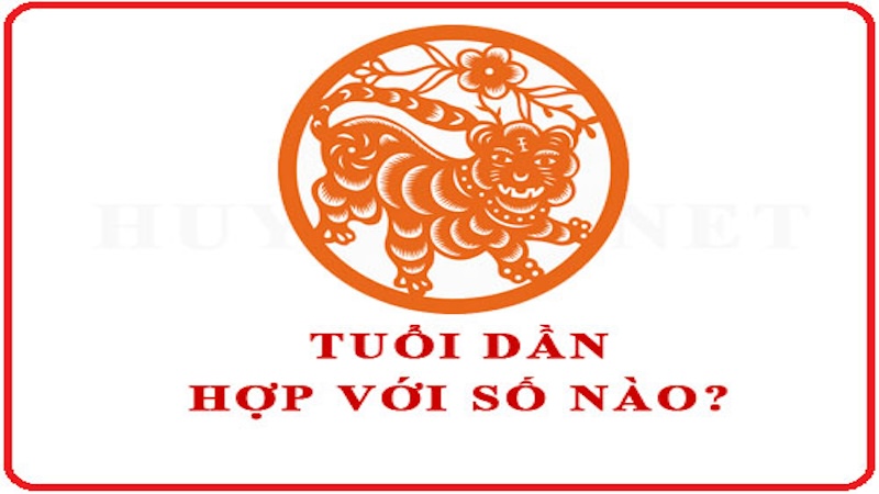 tuổi Dần hợp số nào