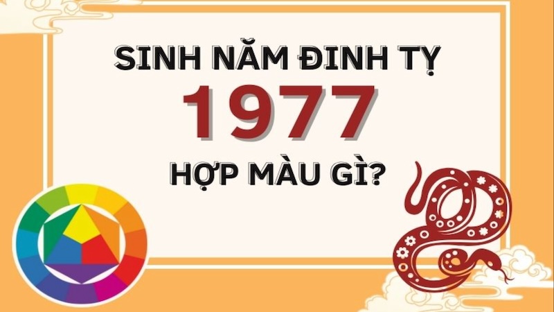 Tuổi Đinh Tỵ 1977 hợp màu gì