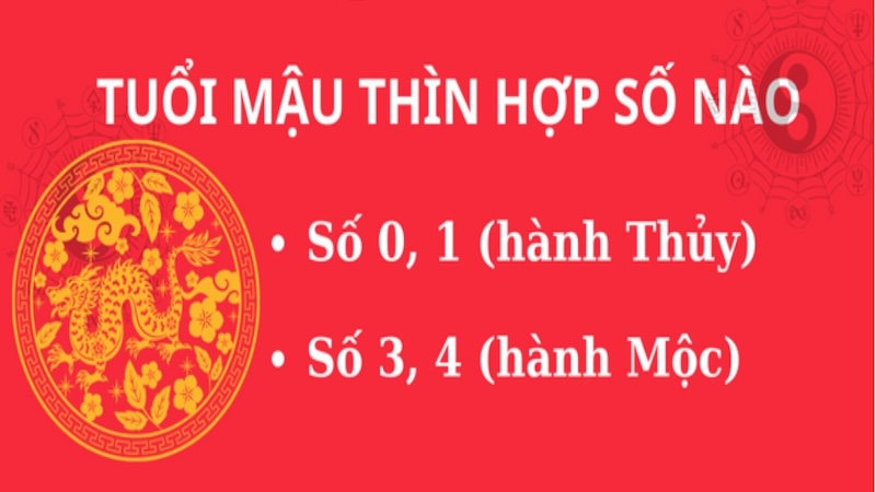 tuổi Mậu Thìn hợp số nào